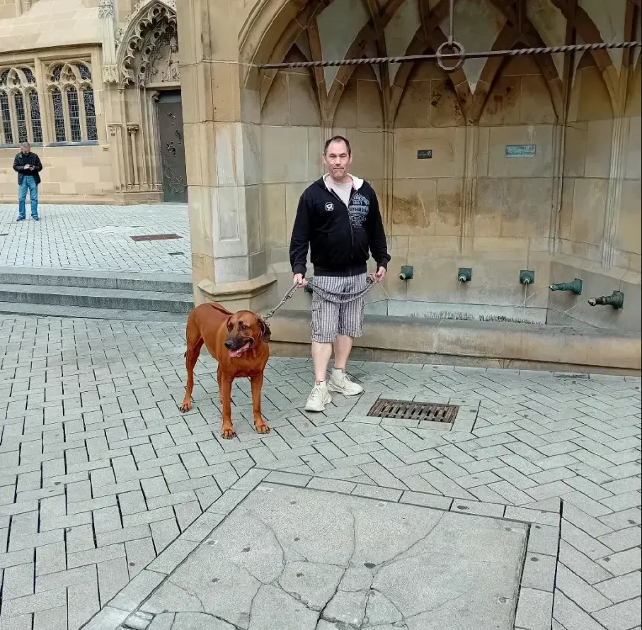 screenshot-181.webp